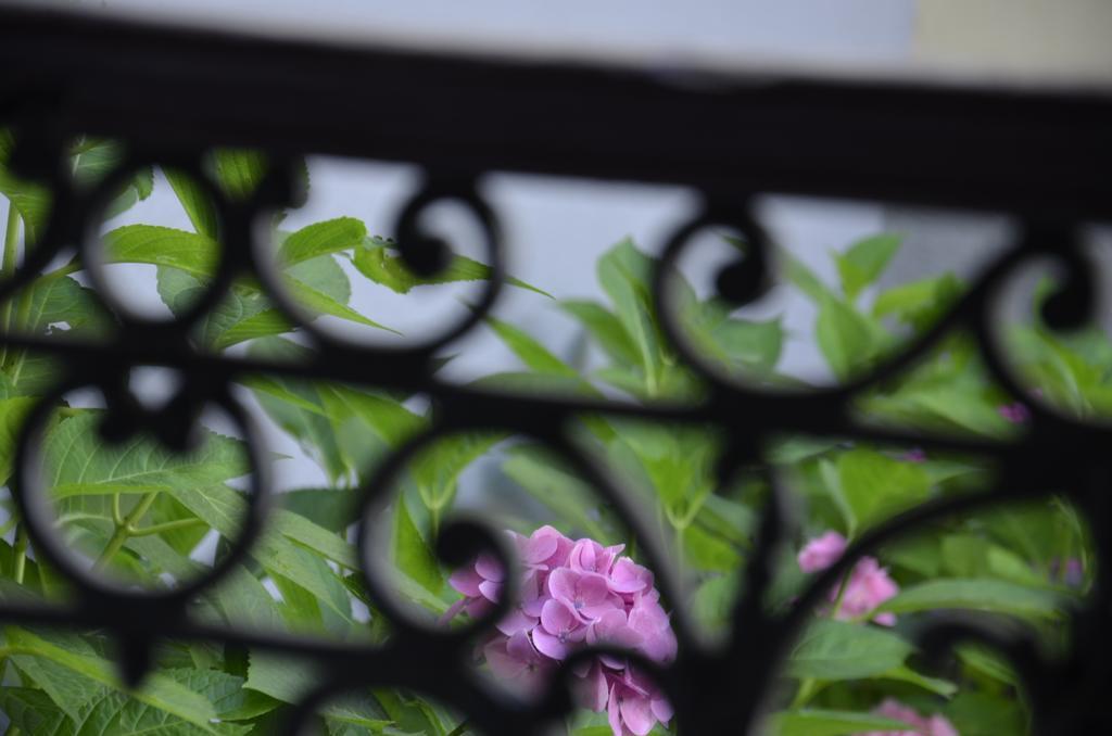 La Cour Du 5Eme - Chambre D'Hotes Bed & Breakfast Paris Dış mekan fotoğraf